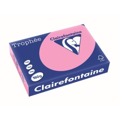 TROPHEE FELROZE A4 160GR 250V