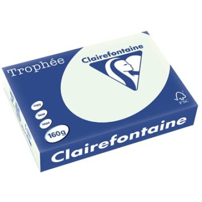 TROPHEE L GROEN A4 160GR 250V