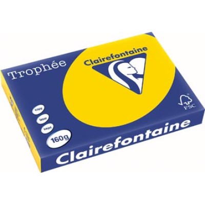 TROPHEE GOUDGL A3 160GR 250V