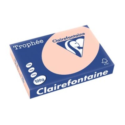 TROPHEE ZALM A4 120GR 250V