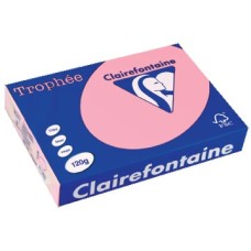 TROPHEE ROZE A4 120GR 250V