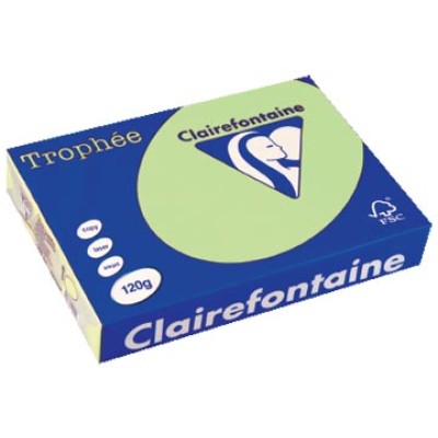 TROPHEE GROEN A4 120GR 250V