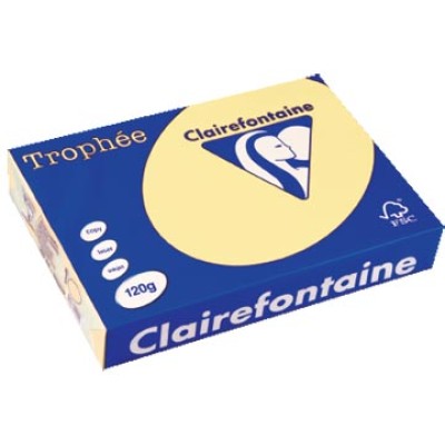 TROPHEE GEEL A4 120GR 250V