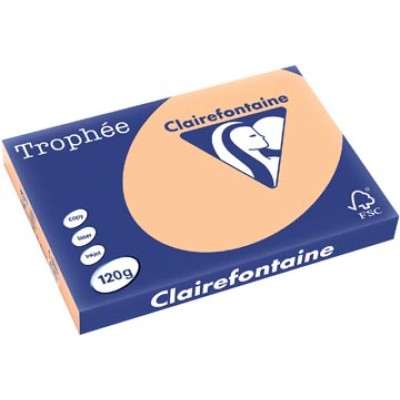 TROPHEE ABRIKOOS A3 120GR 250V