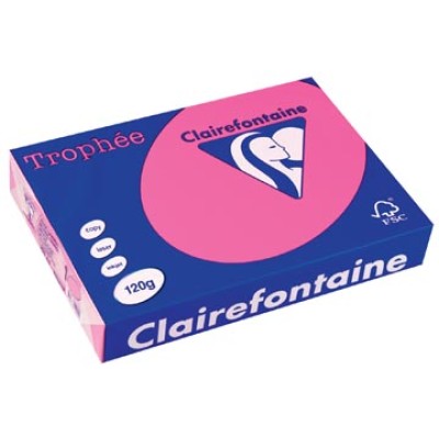 TROPHEE FELROZE A4 120GR 250V