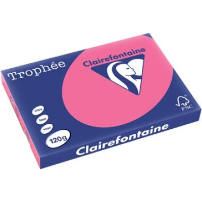 TROPHEE FUCHSIA A3 120GR 250V