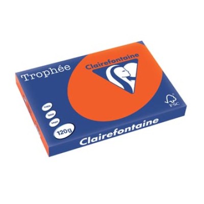 TROPHEE CARDINAL A3 120GR 250V