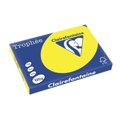 TROPHEE ZONNEGL A3 120G 250V