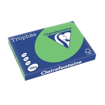 TROPHEE GRASGROEN A3 120G 250V