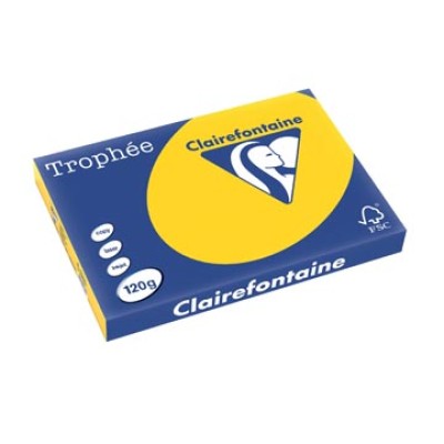 TROPHEE GOUDGEEL A3 120GR 250V