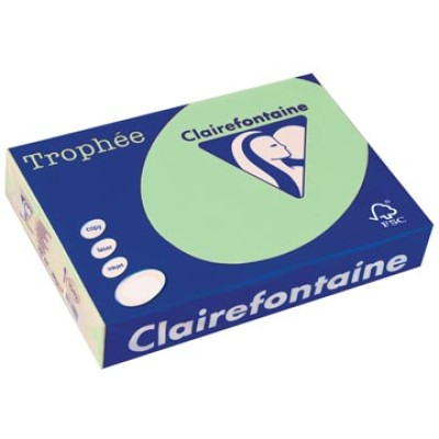 TROPHEE NATUURGR A4 80GR 500V