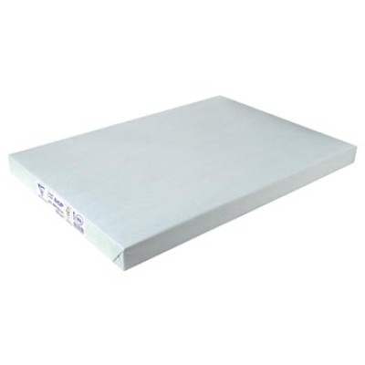 DCP PAPIER SRA3 120G 250V