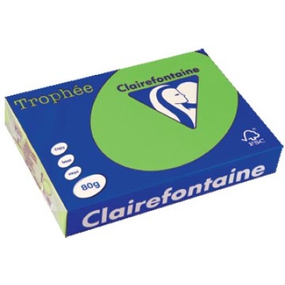 TROPHEE GRASGROEN A4 80GR 500V