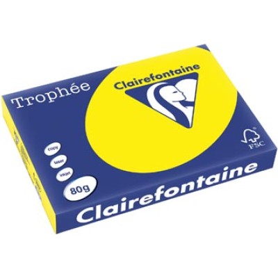 TROPHEE ZONNEGEEL A3 80GR 500V