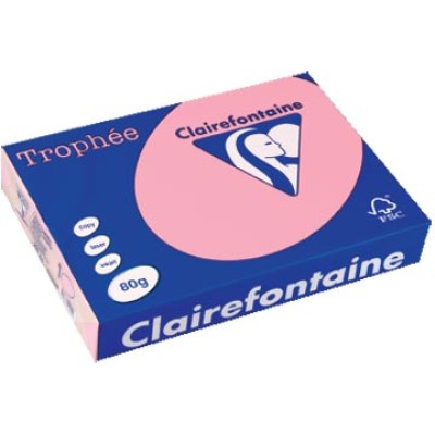 TROPHEE ROZE A4 80GR 500V