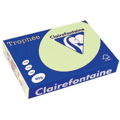 TROPHEE L GROEN A4 80GR 500V