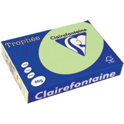 TROPHEE GROEN A4 80GR 500V