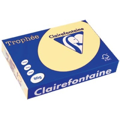 TROPHEE KANARIE A4 80GR 500V