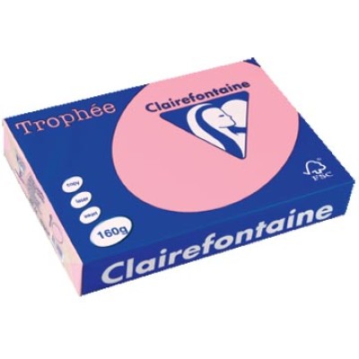 TROPHEE ROZE A4 160GR 250V