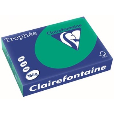 TROPHEE DENNENGR A4 160GR 250V