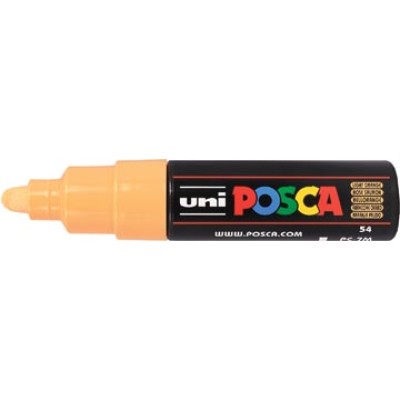 POSCA PAINTMARKER 5,5 ZALMROZE